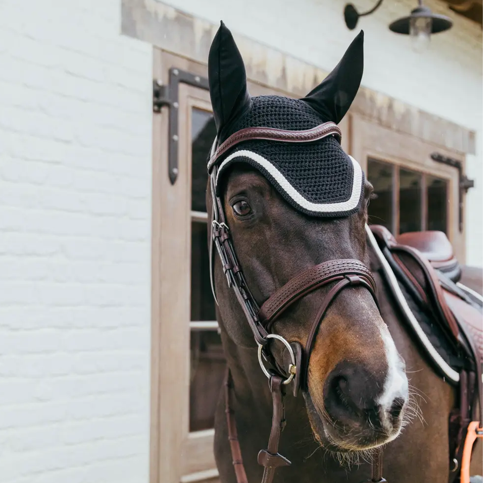 Kentucky Horsewear Fly Veil Wellington with Plaited Cord, Black