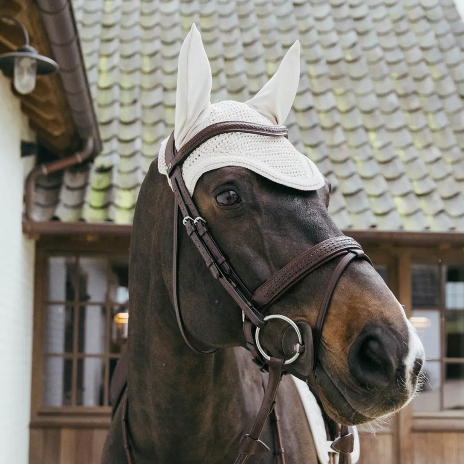 Kentucky Horsewear Fly Veil Wellington with Plaited Cord, Beige