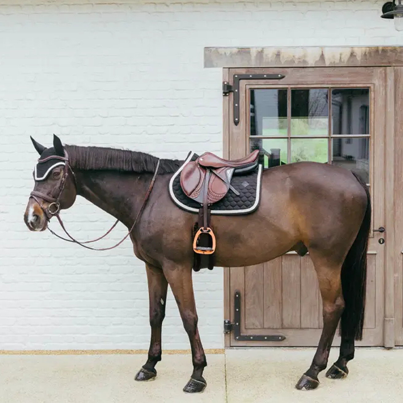 Kentucky Horsewear Fly Veil Wellington with Plaited Cord, Black