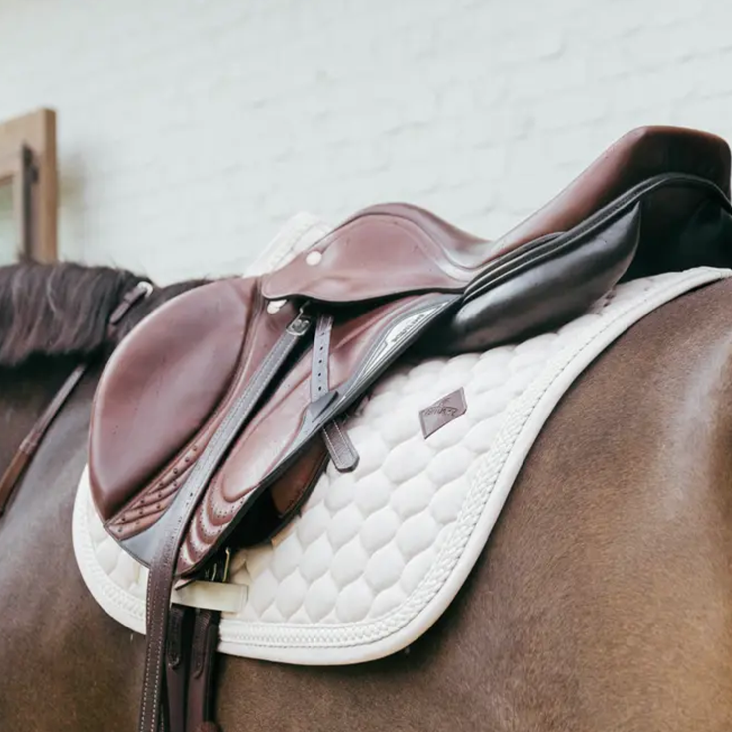 Kentucky Horsewear Show Jumping Saddle Pad with Plaited Cord, Beige