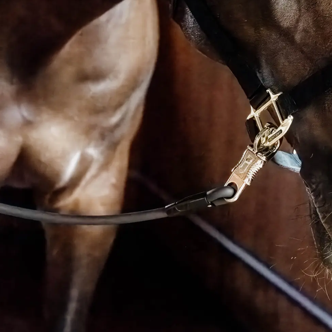 Kentucky Horsewear Horse Box Lead & Cross Ties Silicone, Black