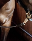 Kentucky Horsewear Horse Box Lead & Cross Ties Silicone, Black