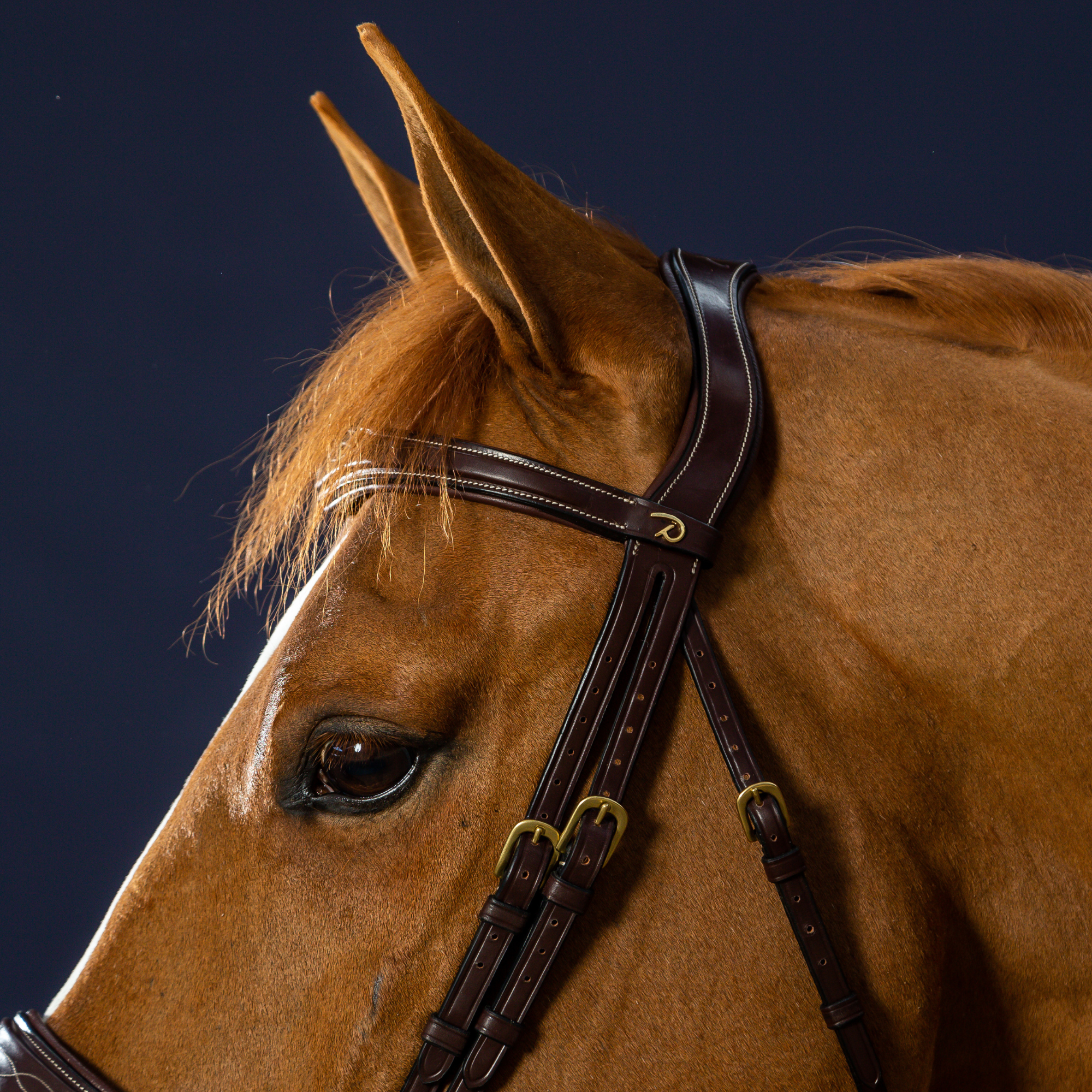 Dy'on Anatomic Flash Noseband Bridle, Brown, D Collection