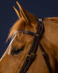 Dy'on Anatomic Flash Noseband Bridle, Brown, D Collection