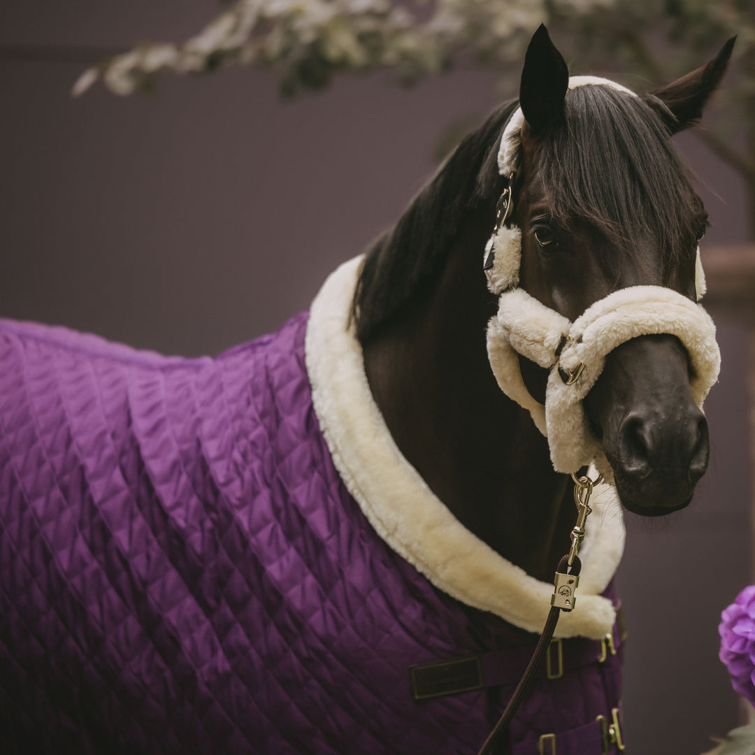 Kentucky Horsewear Show Rug, Royal Purple