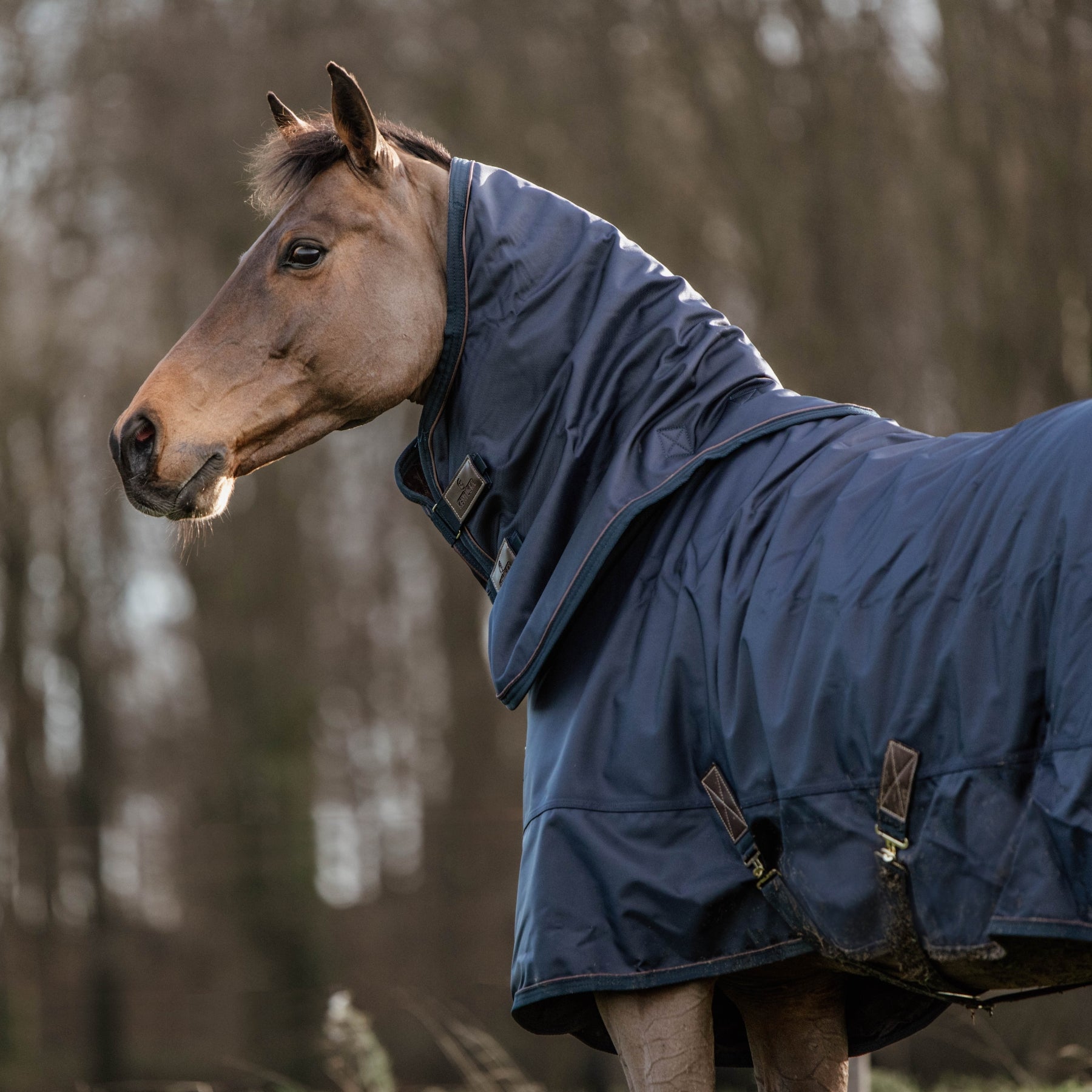 Kentucky Horsewear Turnout Rug All Weather Waterproof, 0g