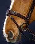 Dy'on Anatomic Flash Noseband Bridle, Brown, D Collection