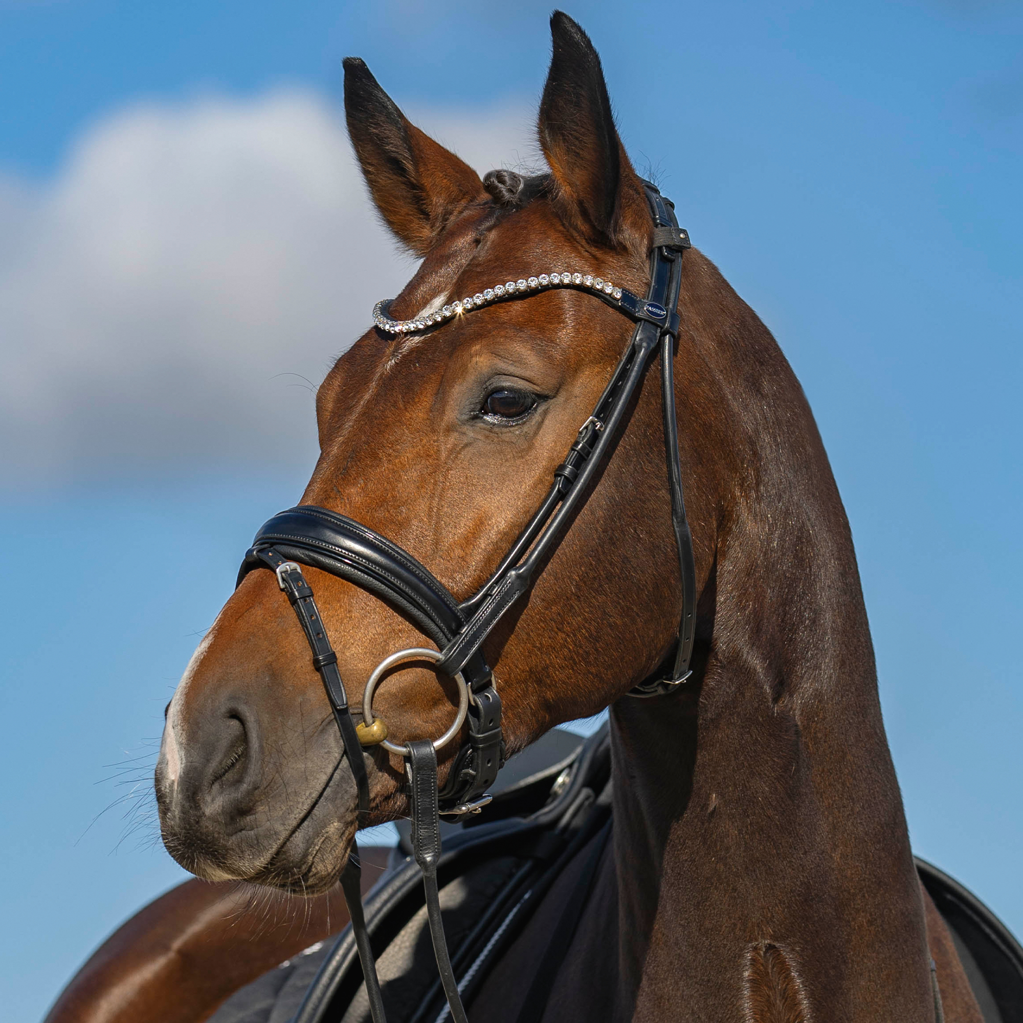 Passier Harmony Snaffle Bridle, Black
