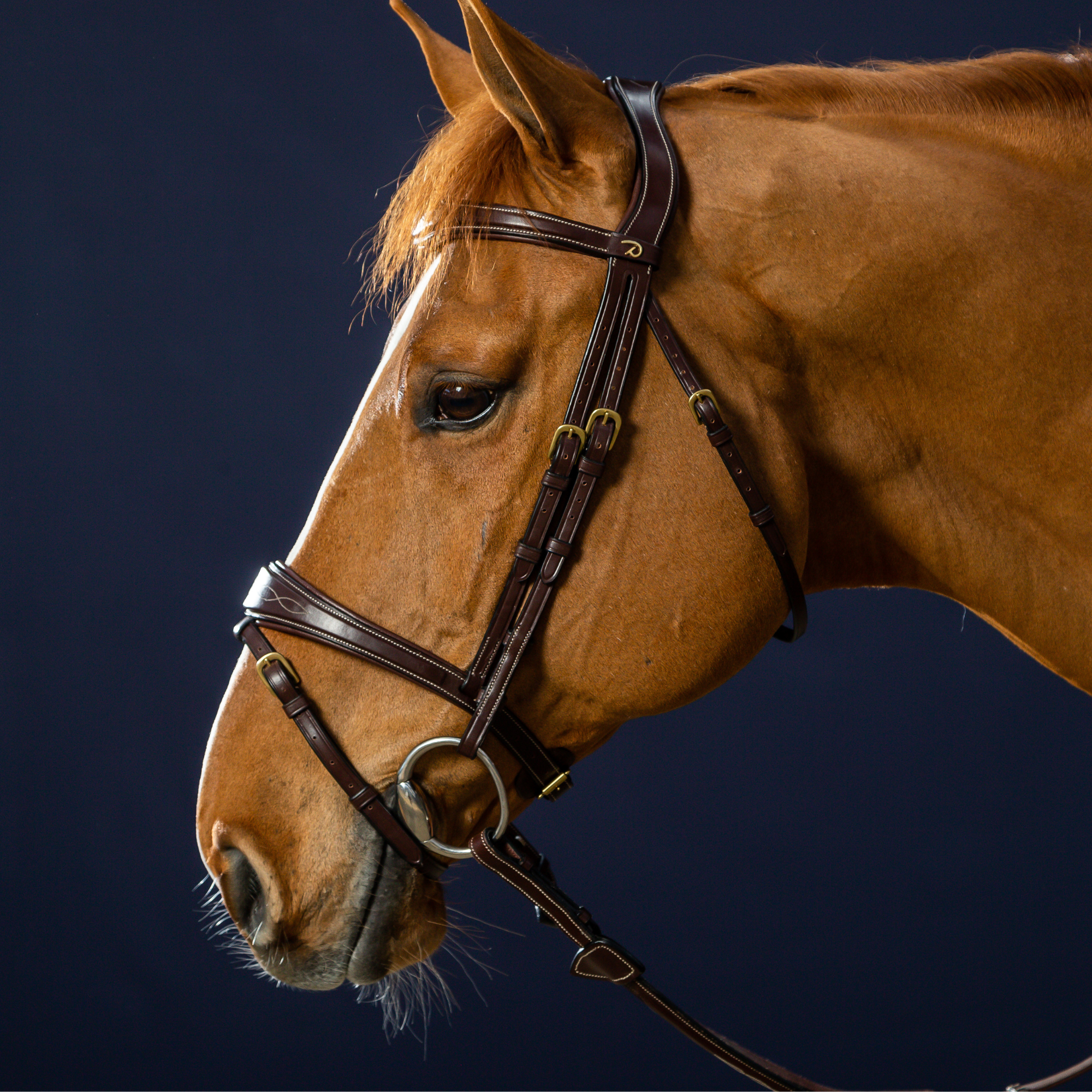 Dy'on Anatomic Flash Noseband Bridle, Brown, D Collection