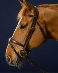 Dy'on Anatomic Flash Noseband Bridle, Brown, D Collection