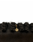 Dubois Cheval Lucky Clover Gold Braid Charm
