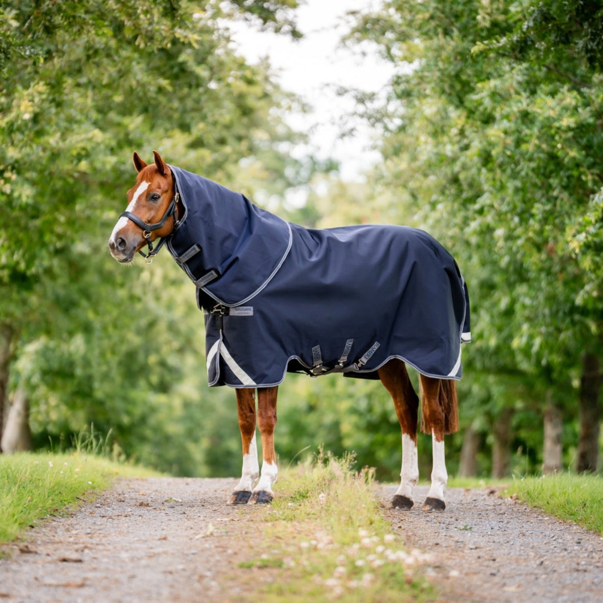 Rambo Supreme 1680D Plus Turnout 0g with hood