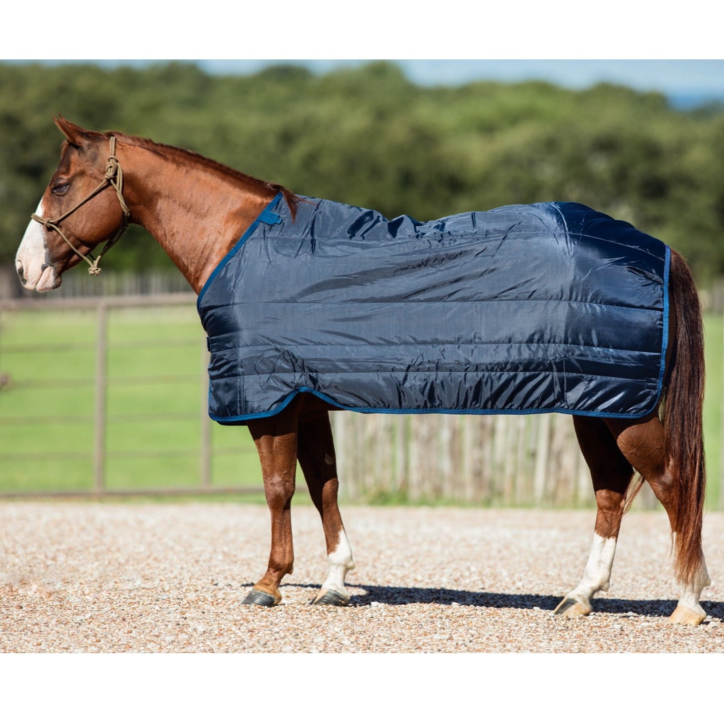 Horseware Liner 100g