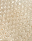 Acavallo CC Therapeutic Gel Non Slip Pad with Sheepskin, Transparent/Natural