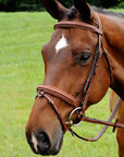 ADT Tack Starman Bridle With Reins, Brown