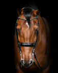 Lumiere Equestrian AUDREY Luxury Leather Double Bridle, Black
