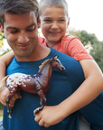 Breyer 75th Anniversary Horse - Sport Horse Lonesome Glory