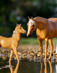 Breyer Ebony Shines & Charlize Quarter Horse Set