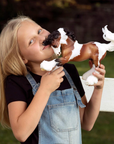 Breyer Gypsy Vanner