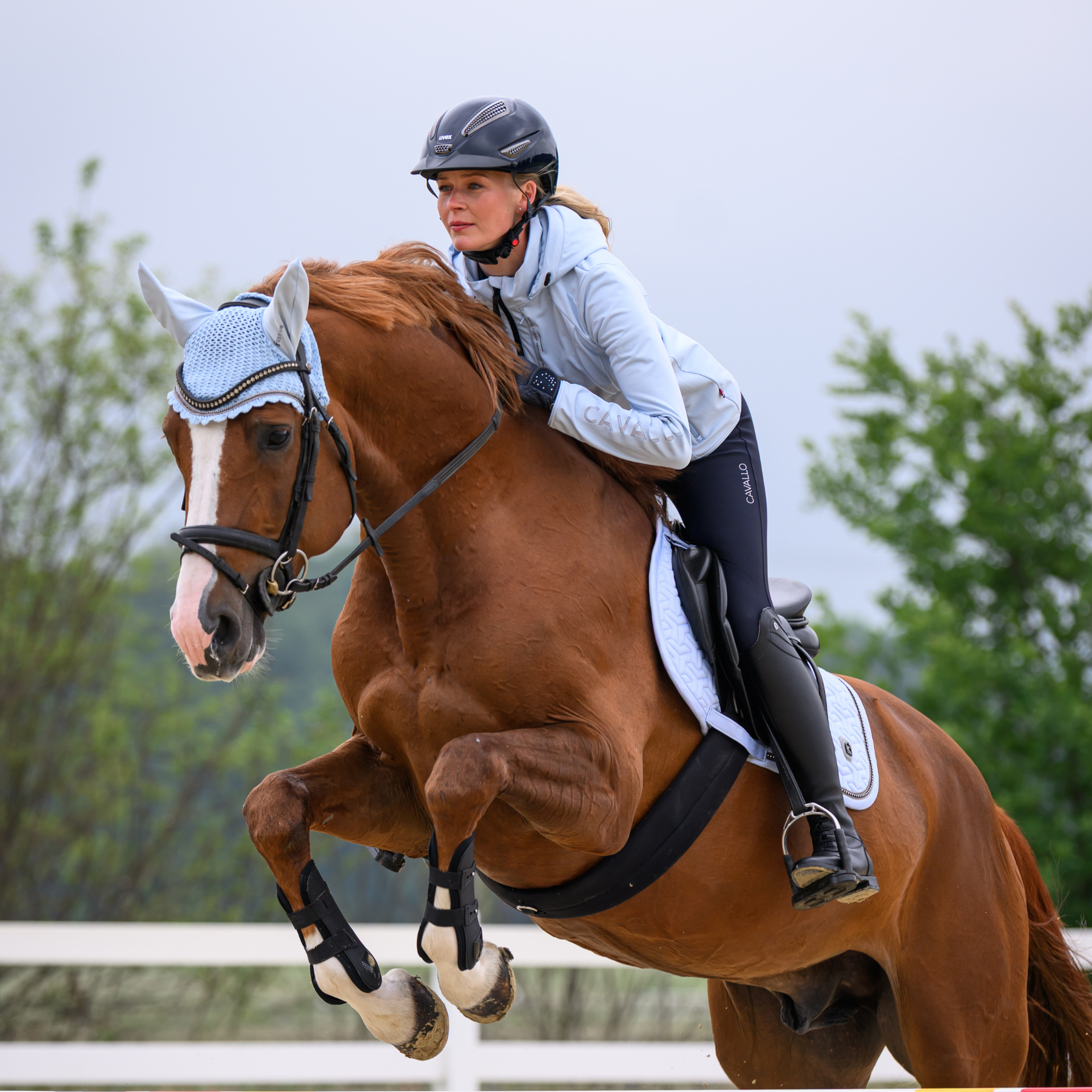 Cavallo CavalJETTY Fly Veil, Foggy Blue
