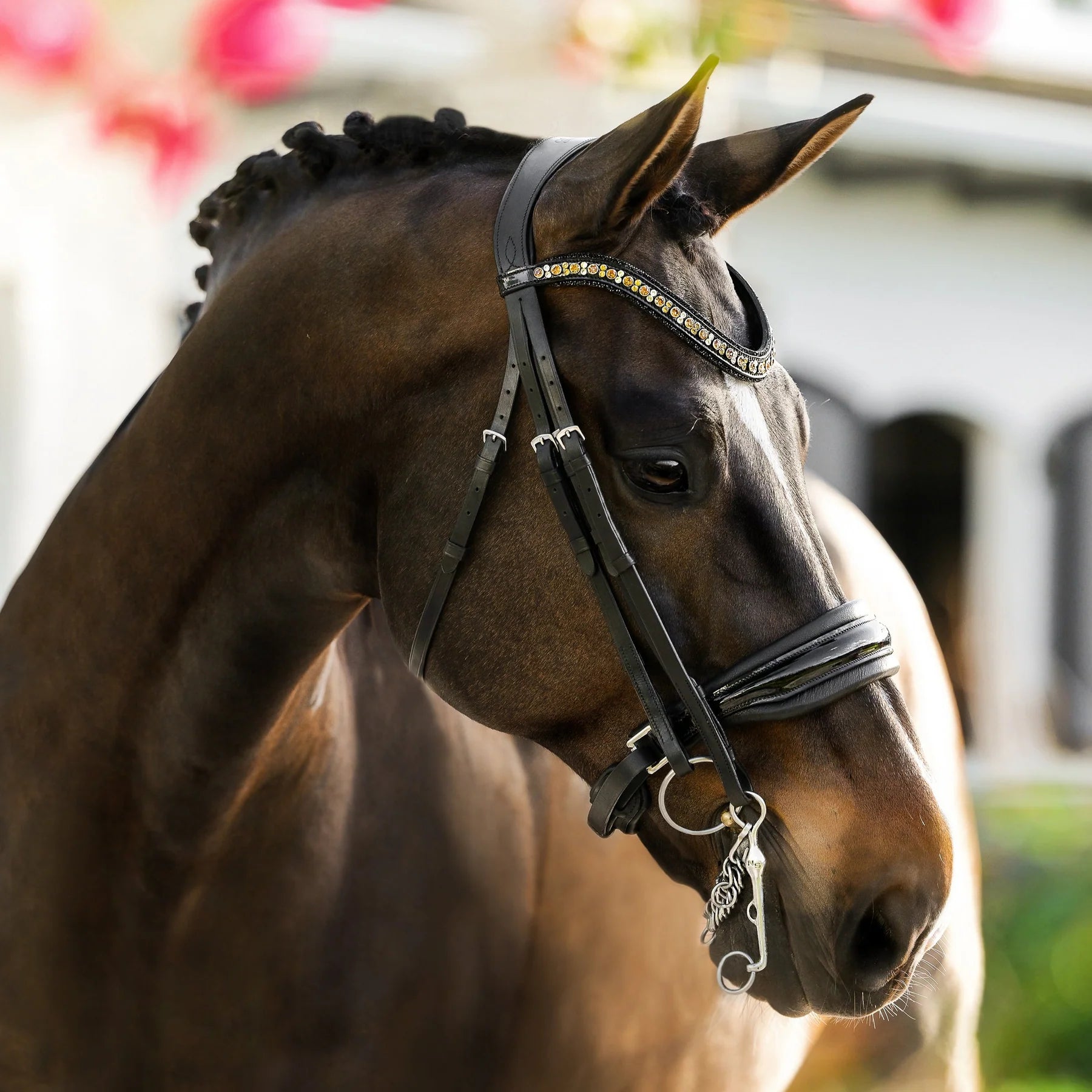 Lumiere Equestrian ARIANA Anatomic Premium Leather Double Bridle, Black with Reins