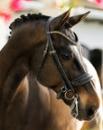 Lumiere Equestrian ARIANA Anatomic Premium Leather Double Bridle, Black with Reins