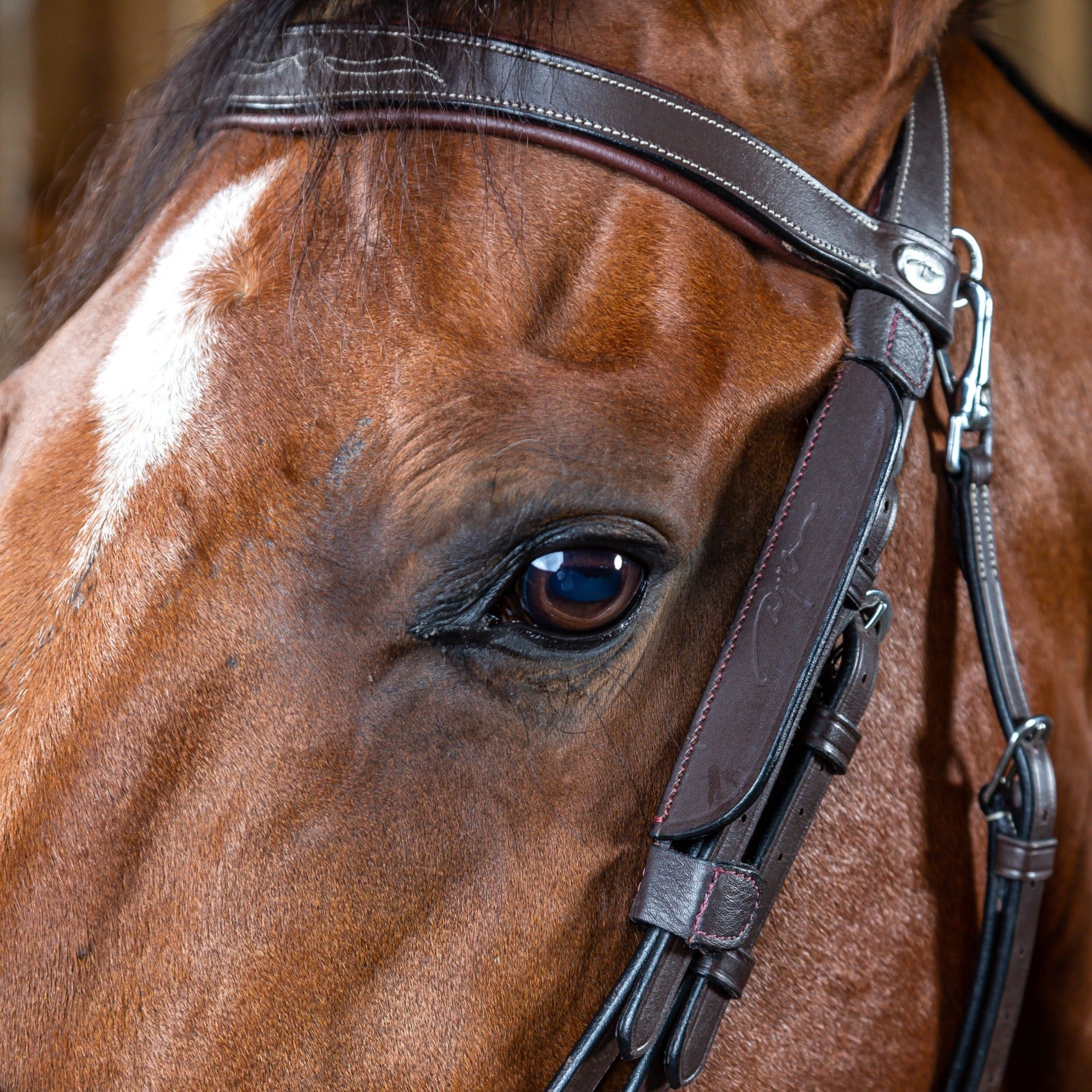 Dy'on Blinkers, Brown