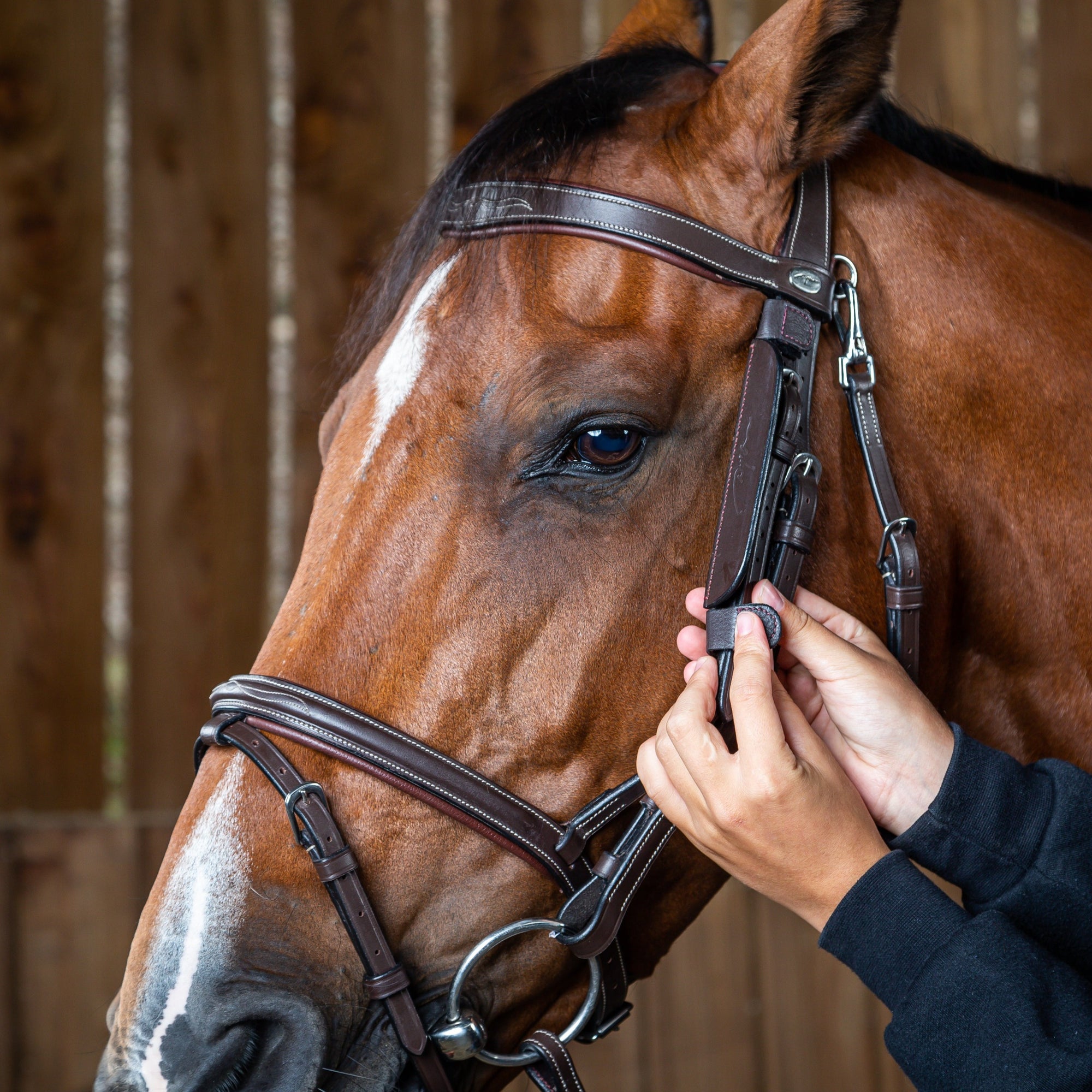 Dy'on Blinkers, Brown