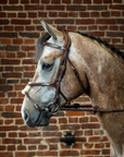 Dy'on D Collection Figure 8 Noseband Bridle, Brown
