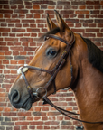 Dy'on D Collection Figure 8 Noseband Bridle, Brown