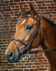 Dy'on D Collection Flash Noseband Bridle, Brown