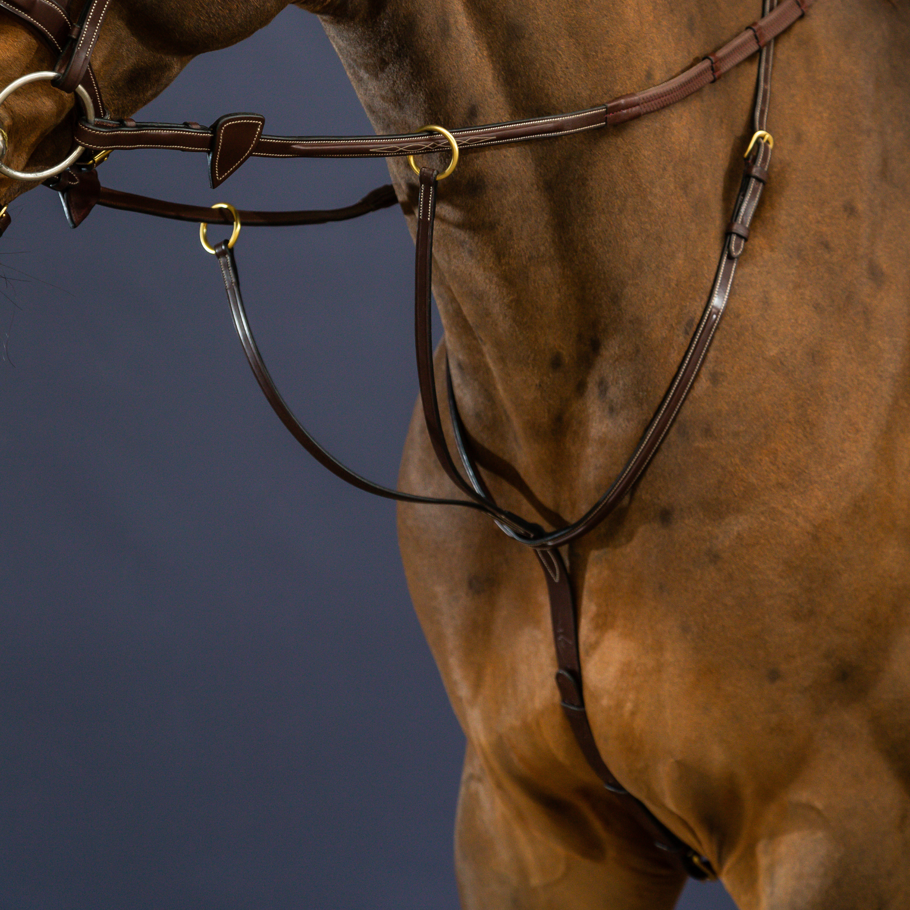 Dy'on D Collection Running Martingale, Brown