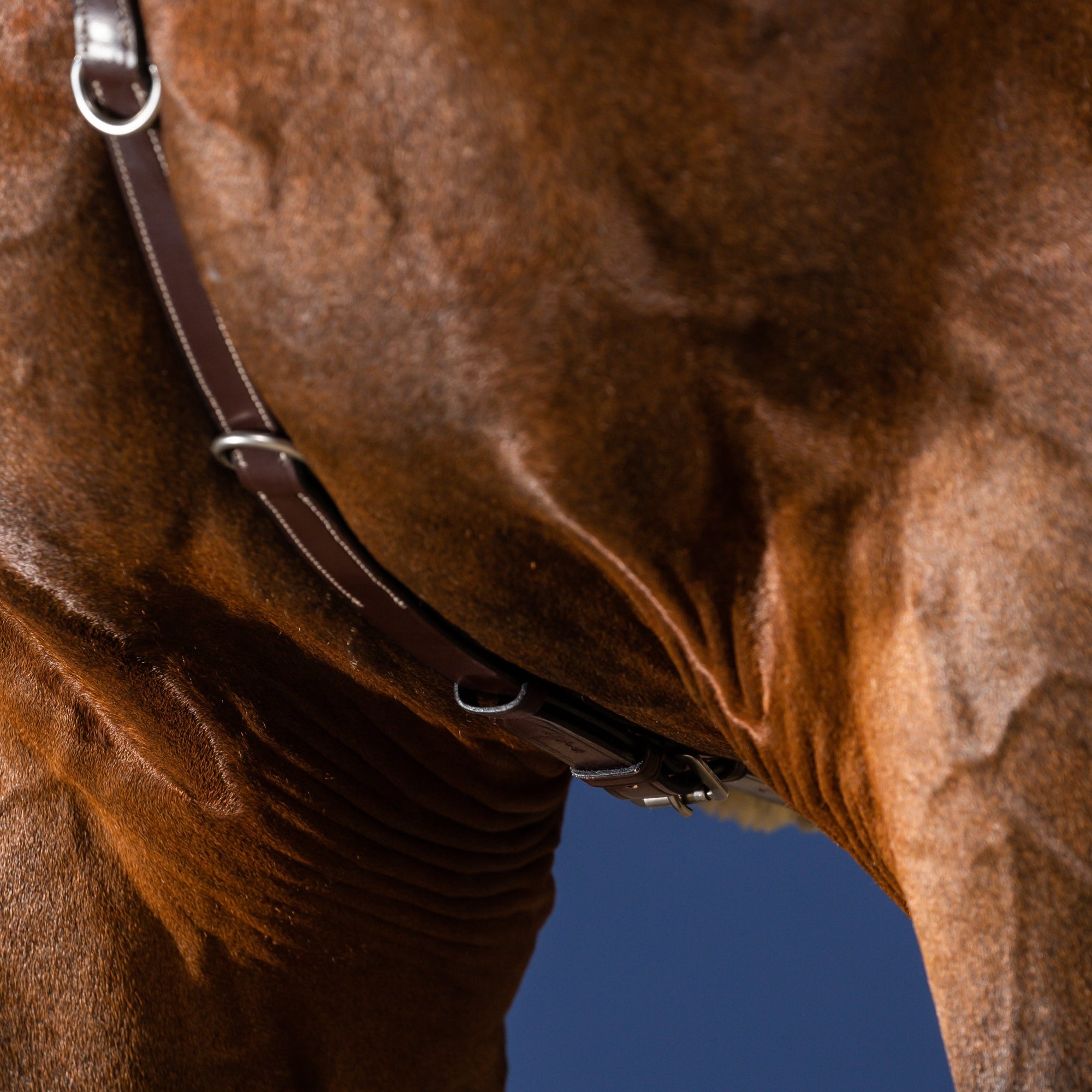 Dy'on Breastplate, Brown, US Collection