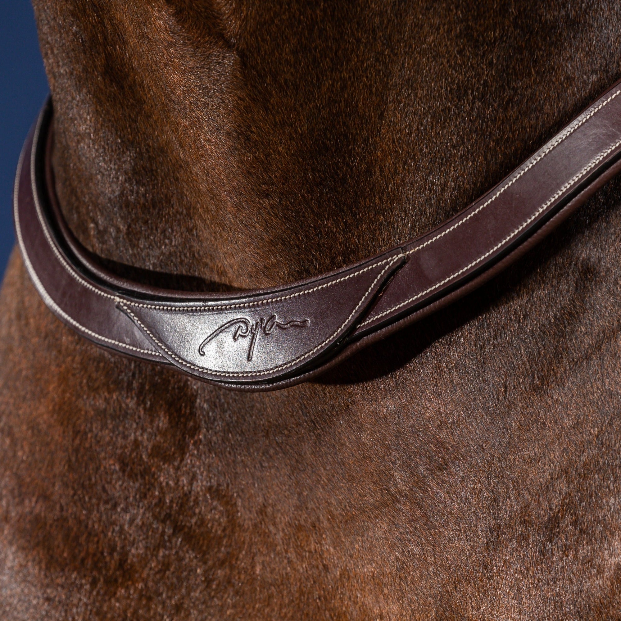 Dy'on Breast Collar, Brown, US Collection