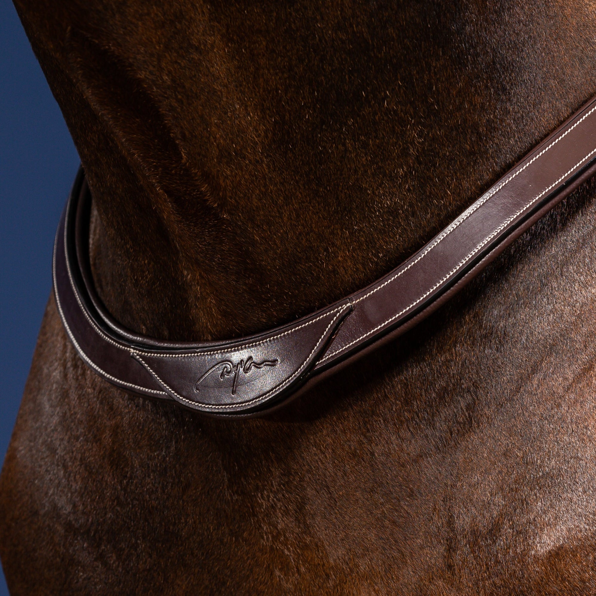 Dy'on Breast Collar, Brown, US Collection