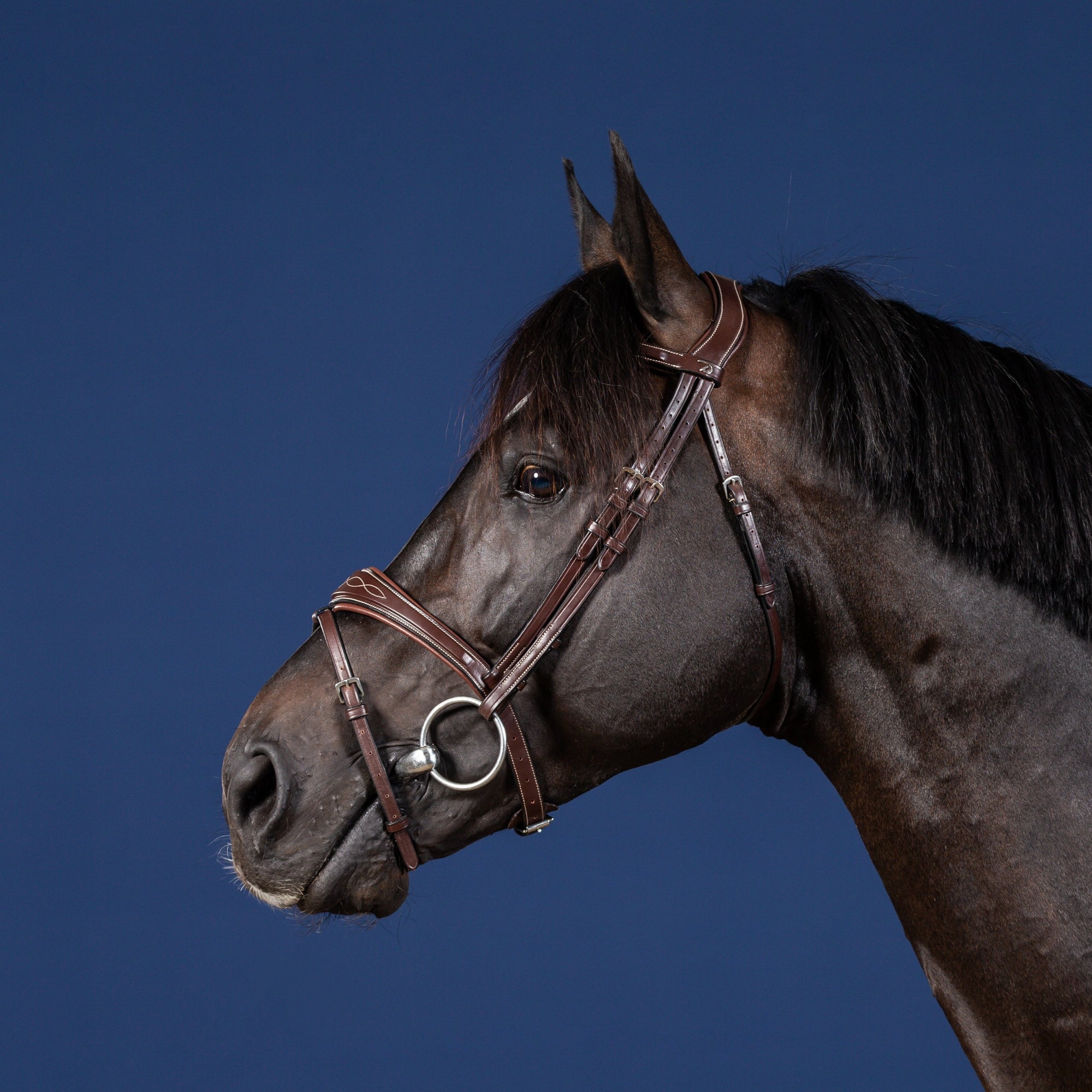 Dy'on Anatomic Flash Noseband Bridle, Brown, US Collection