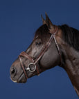 Dy'on Anatomic Flash Noseband Bridle, Brown, US Collection