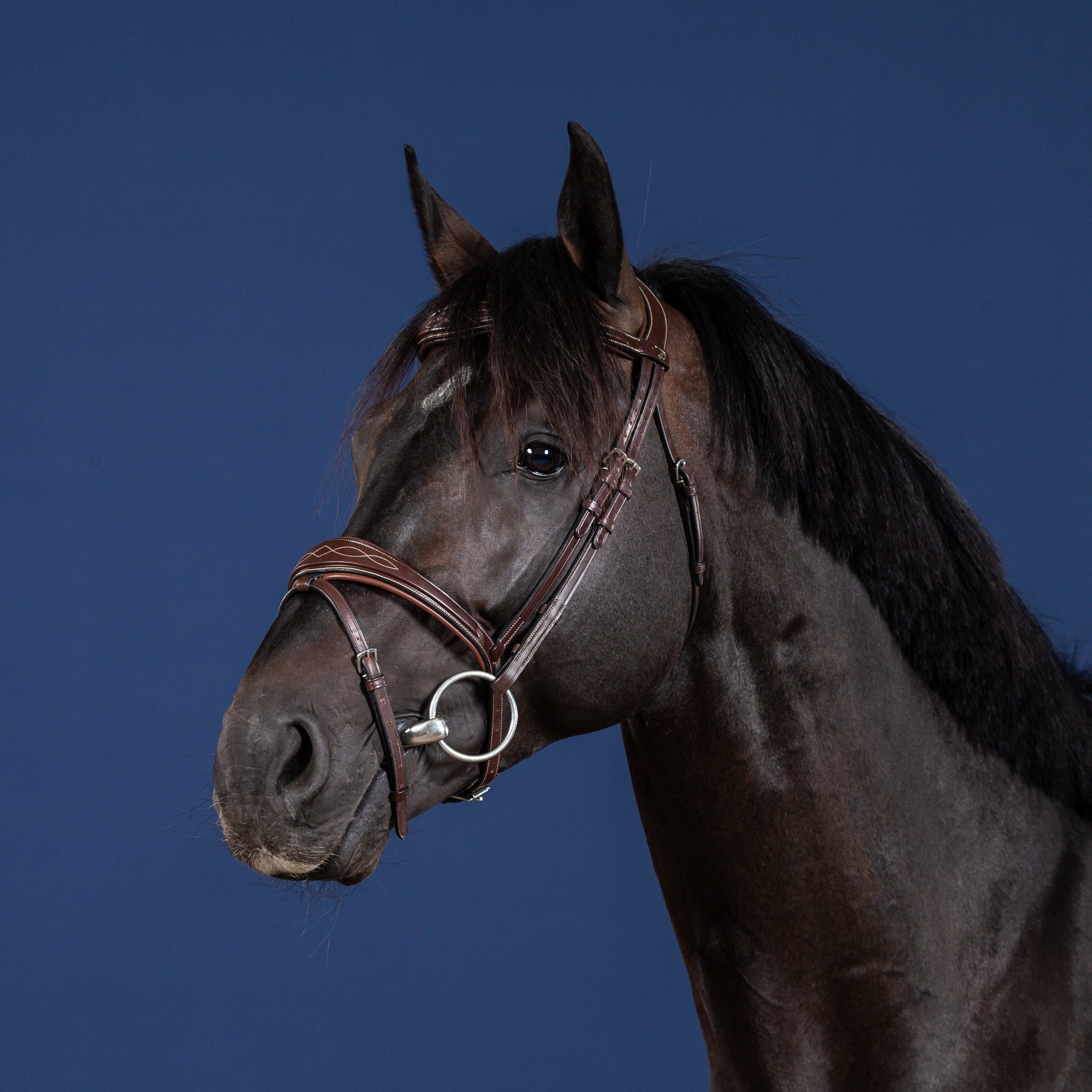 Dy'on Anatomic Flash Noseband Bridle, Brown, US Collection