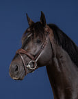 Dy'on Anatomic Flash Noseband Bridle, Brown, US Collection