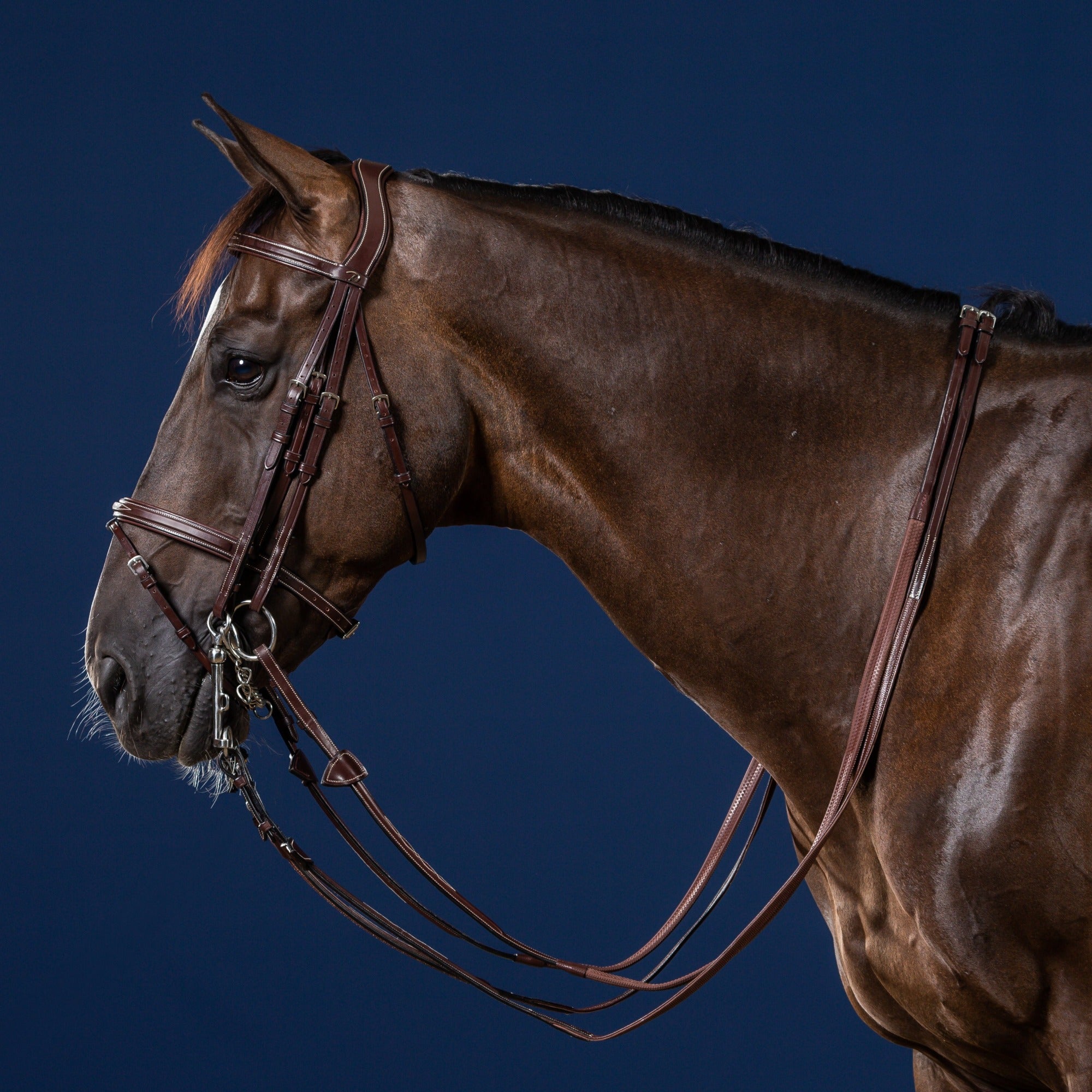 Dy'on Flash Noseband Double Bridle, Brown, US Collection