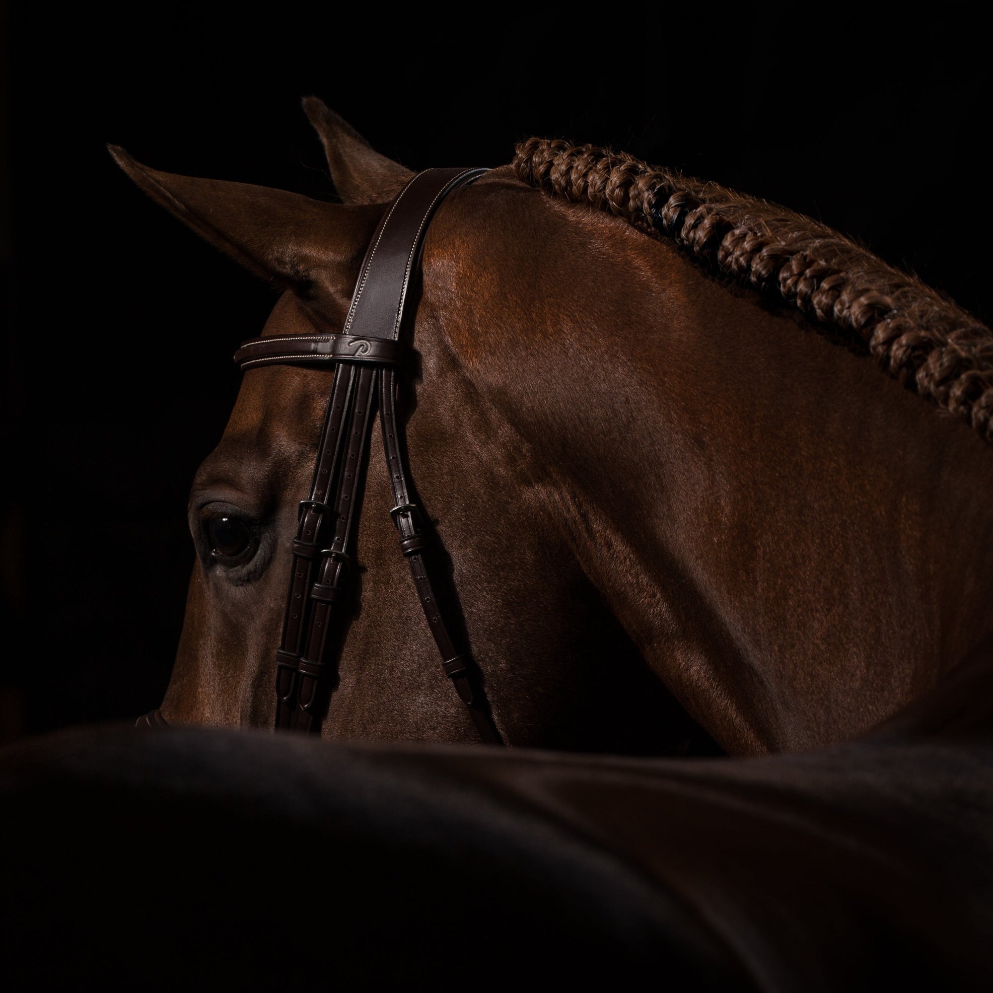 Dy'on Cavesson Hunter Noseband Bridle, Brown, US Collection