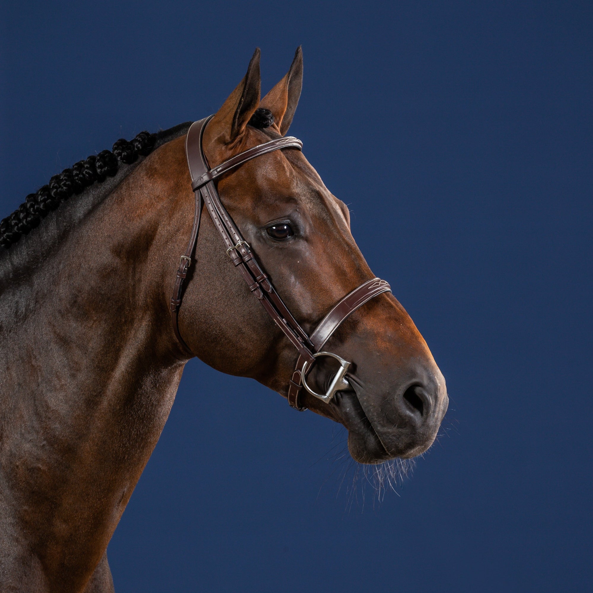 Dy'on Cavesson Hunter Noseband Bridle, Brown, US Collection