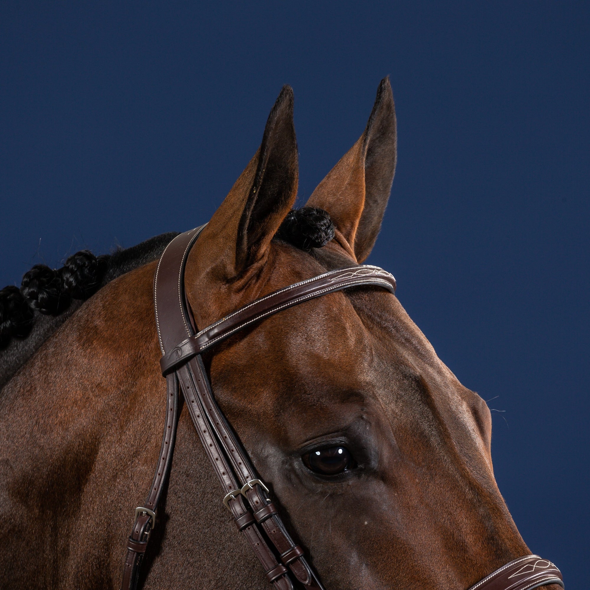 Dy'on Cavesson Hunter Noseband Bridle, Brown, US Collection