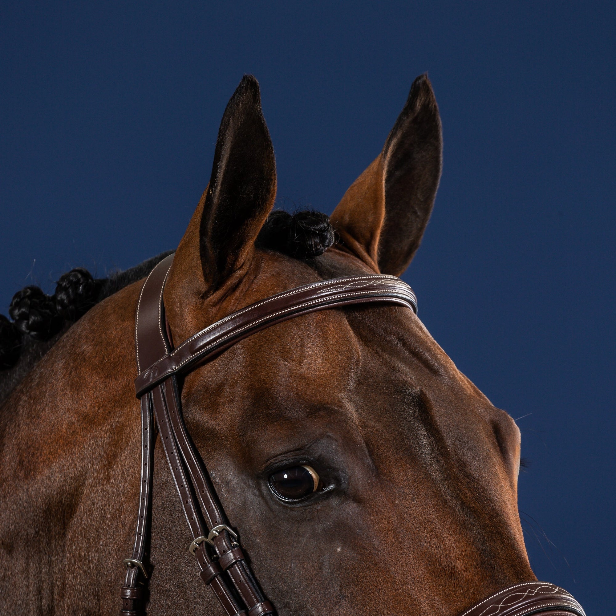 Dy'on Straight Browband Without Pins, Brown, US Collection