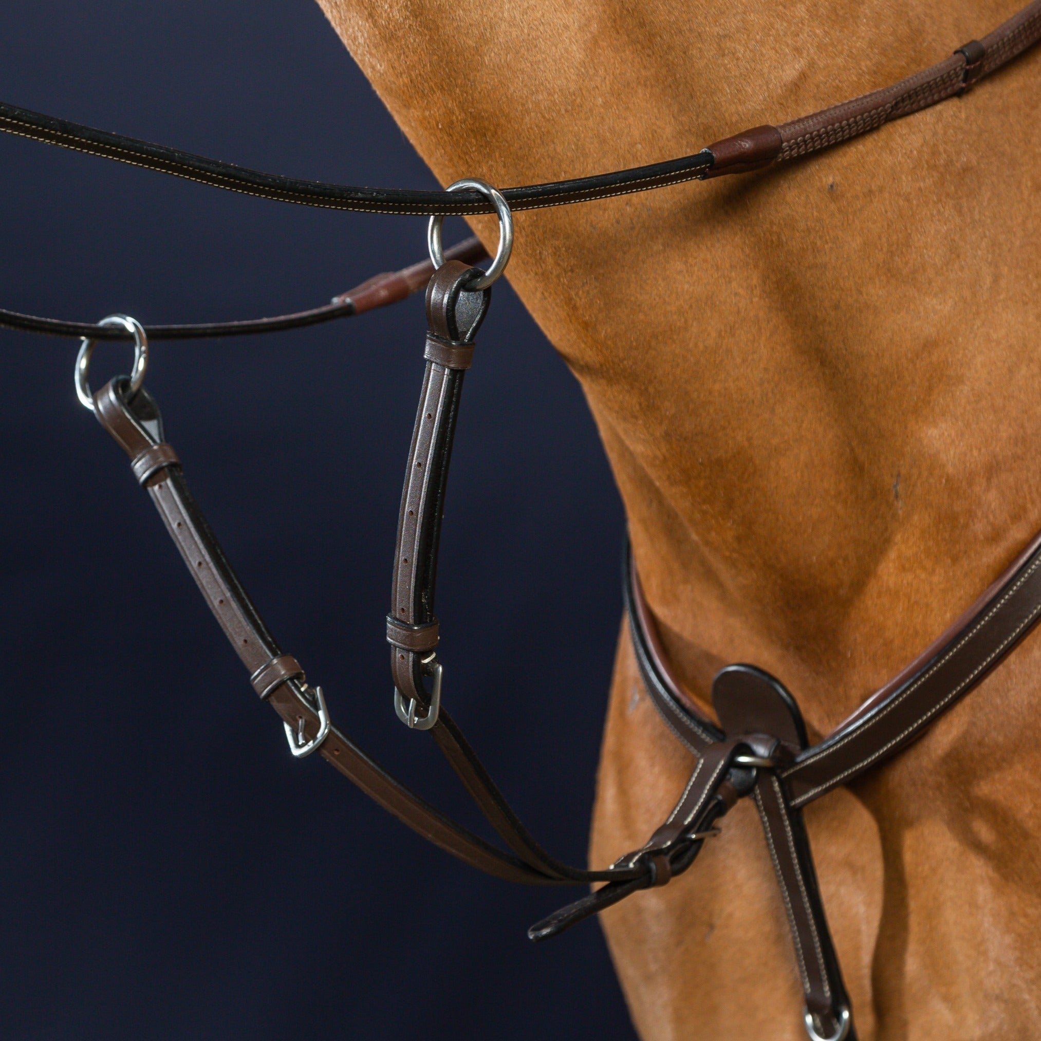 Dy'on Running Martingale Attachment Working, Brown, Working By Dyon