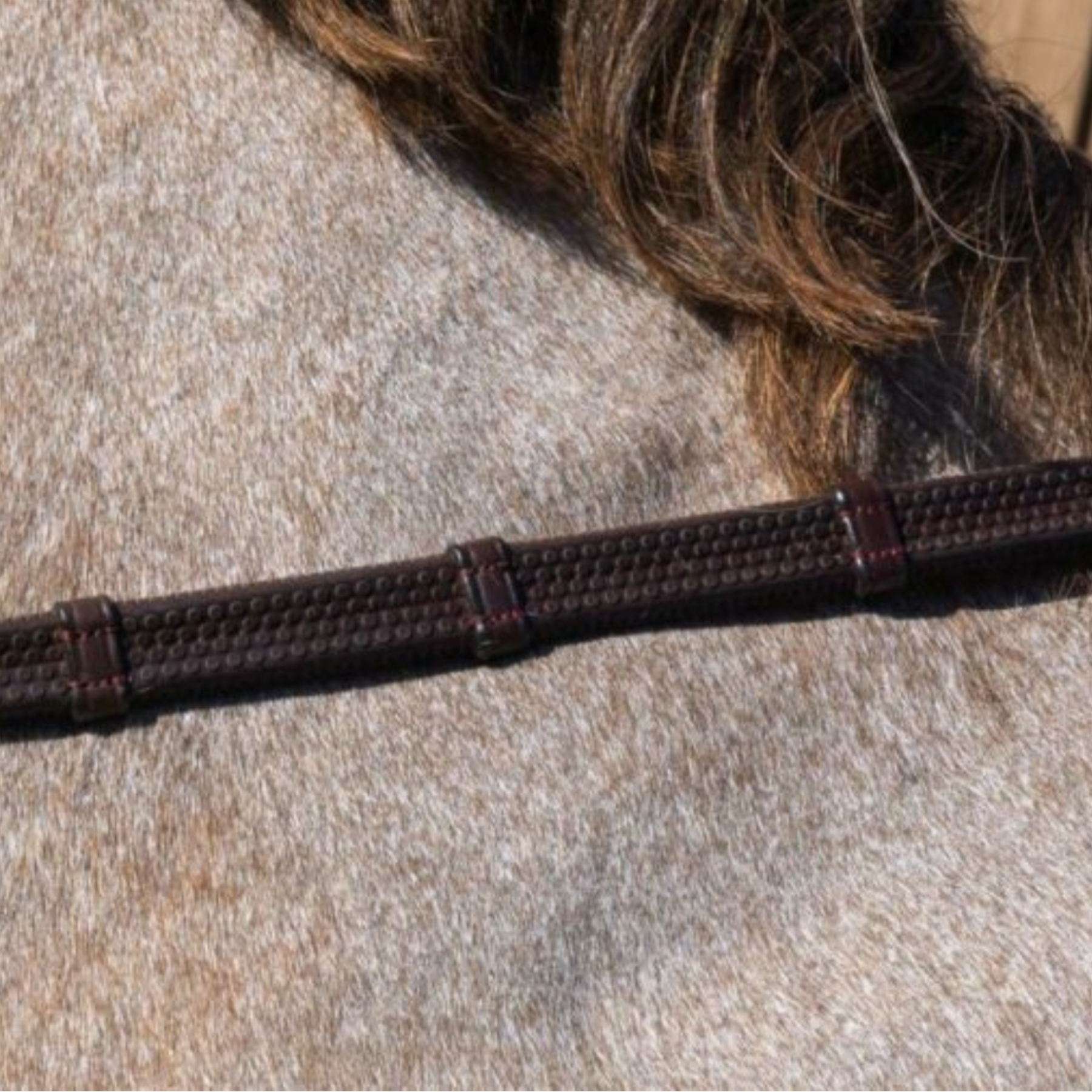 Dy'on 1/2" Rubber Reins With 7 Leather Loops, Brown, Working By Dyon