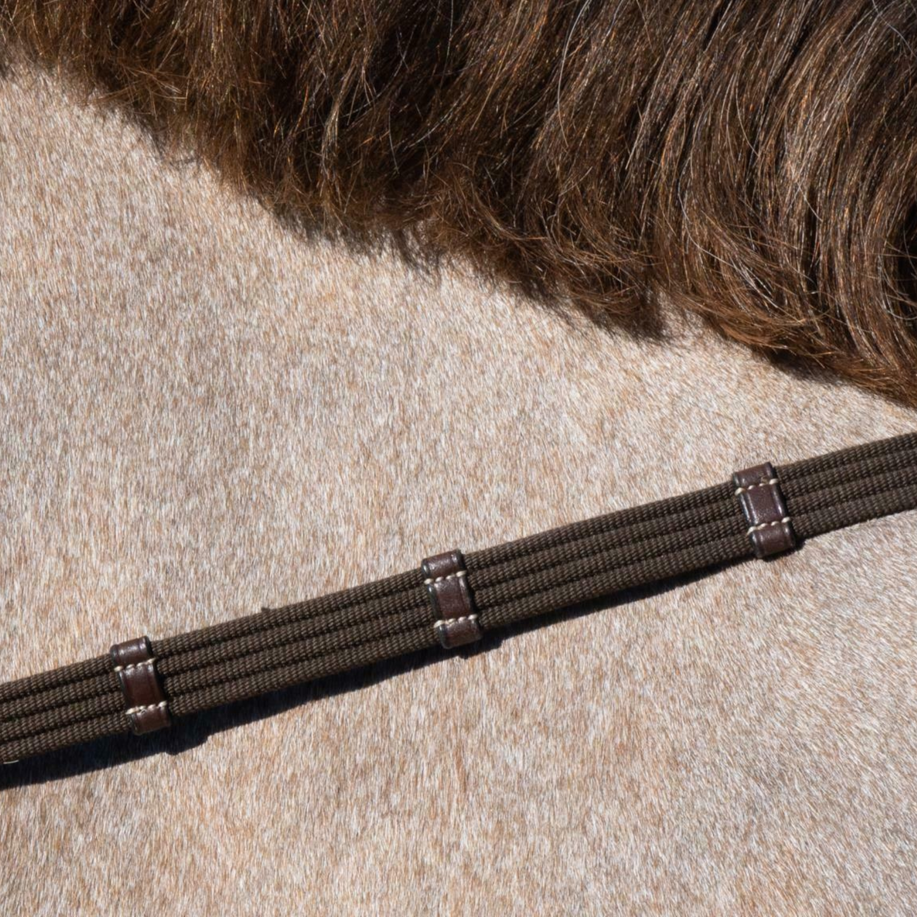 Dy'on 5/8" Web Reins With 9 Leather Loops, Brown, Working By Dyon
