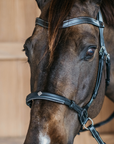 Dy'on Bitless Bridle, Working by Dy'on, Black