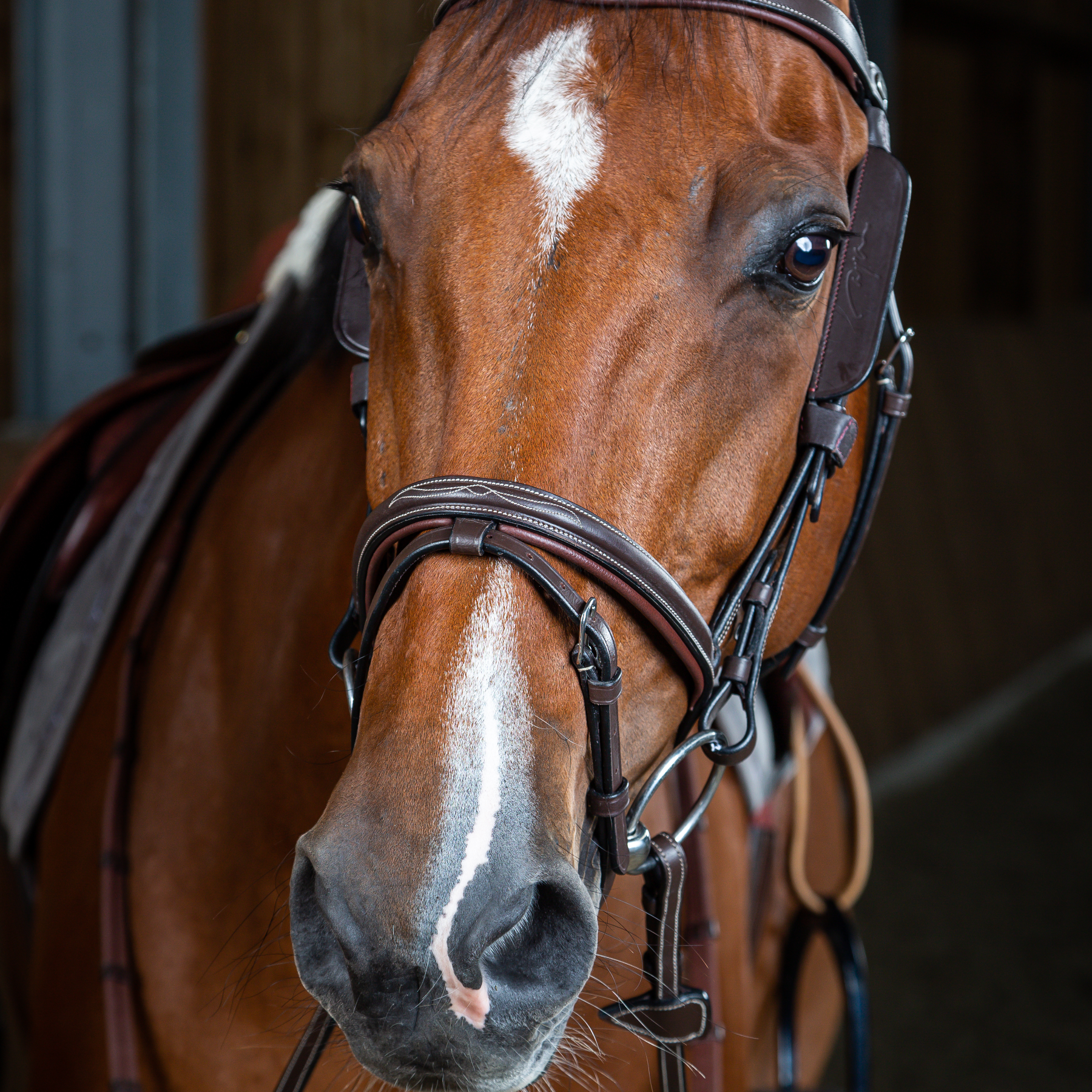 Dy'on Blinkers, Brown