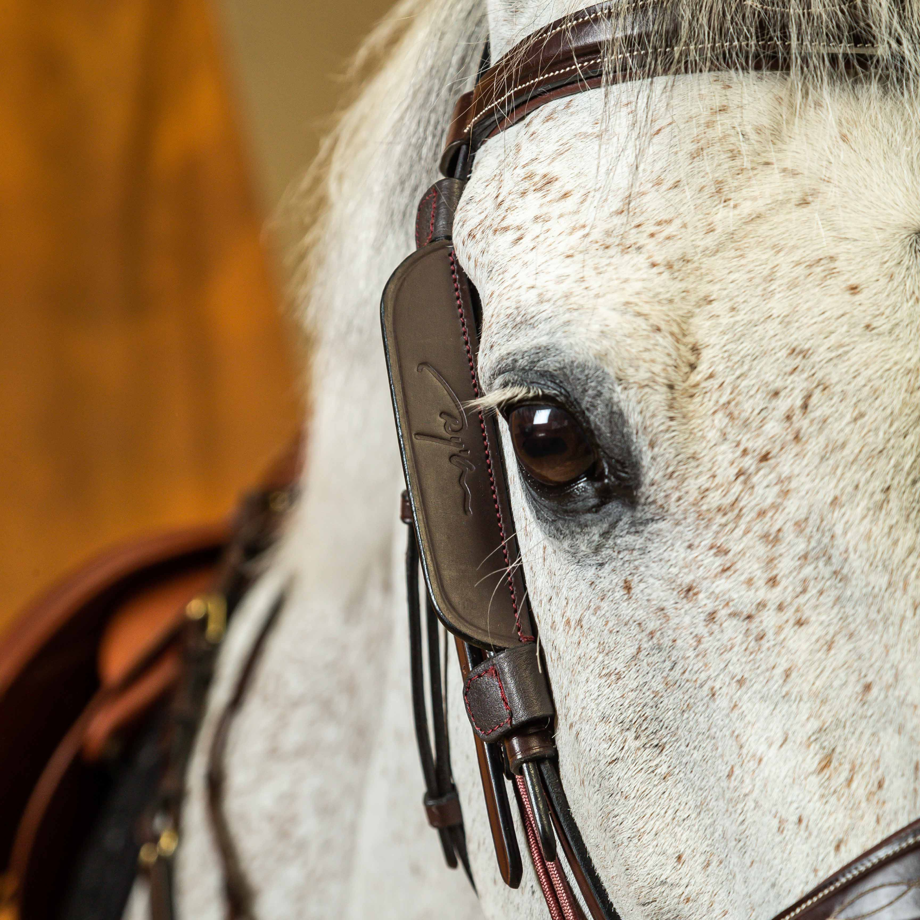 Dy'on Blinkers, Brown